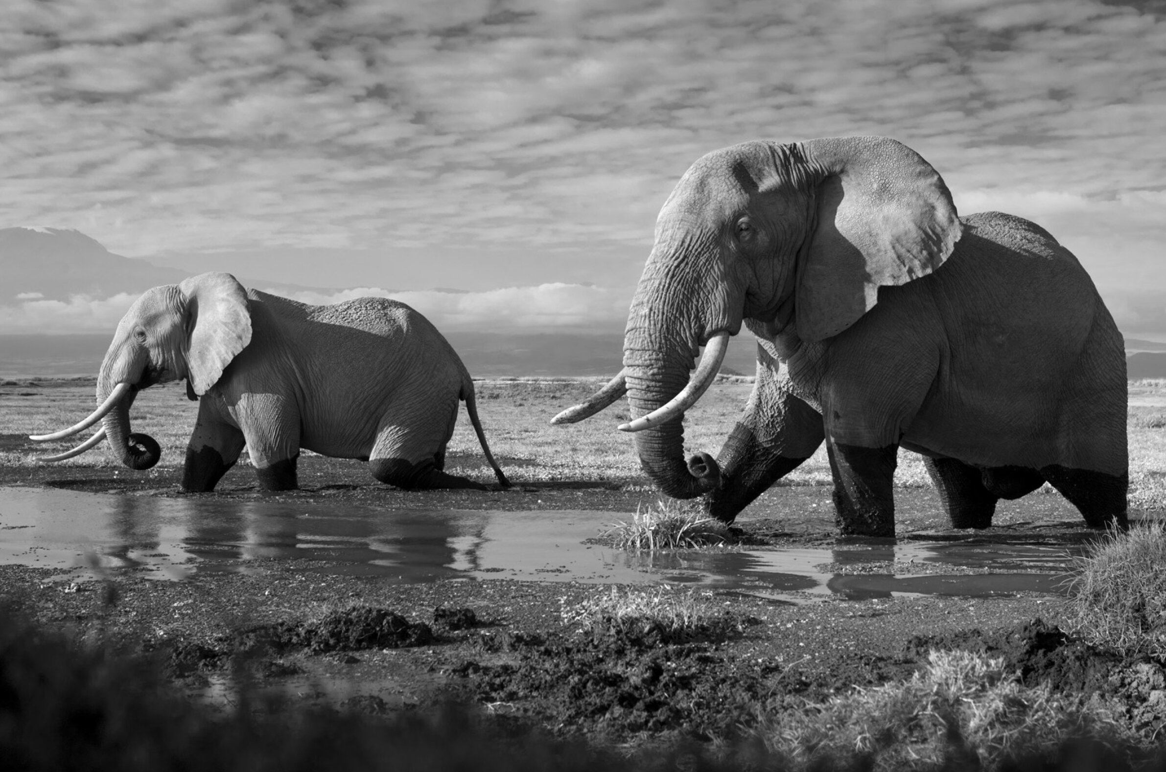 David Gulden -The Centre Cannot Hold - The Eye of Photography Magazine